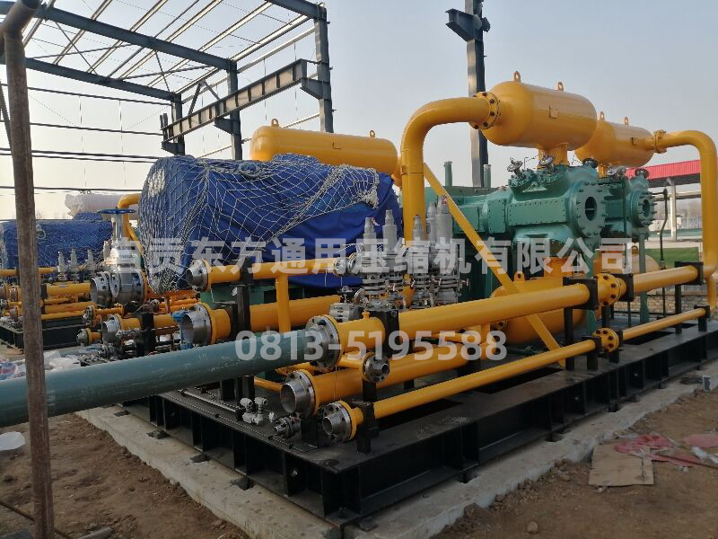 LNG feed gas compressor